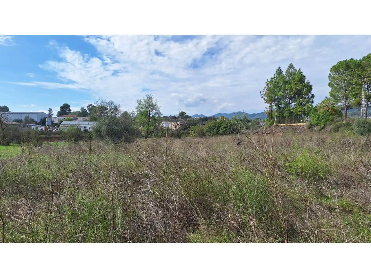 Terreno industrial en venta en Cami El Ras, imagen 4