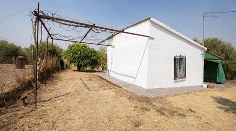 Foto 4 de Finca rústica en venta en Calle de Moraleda a Cómpeta, Moraleda de Zafayona, Granada