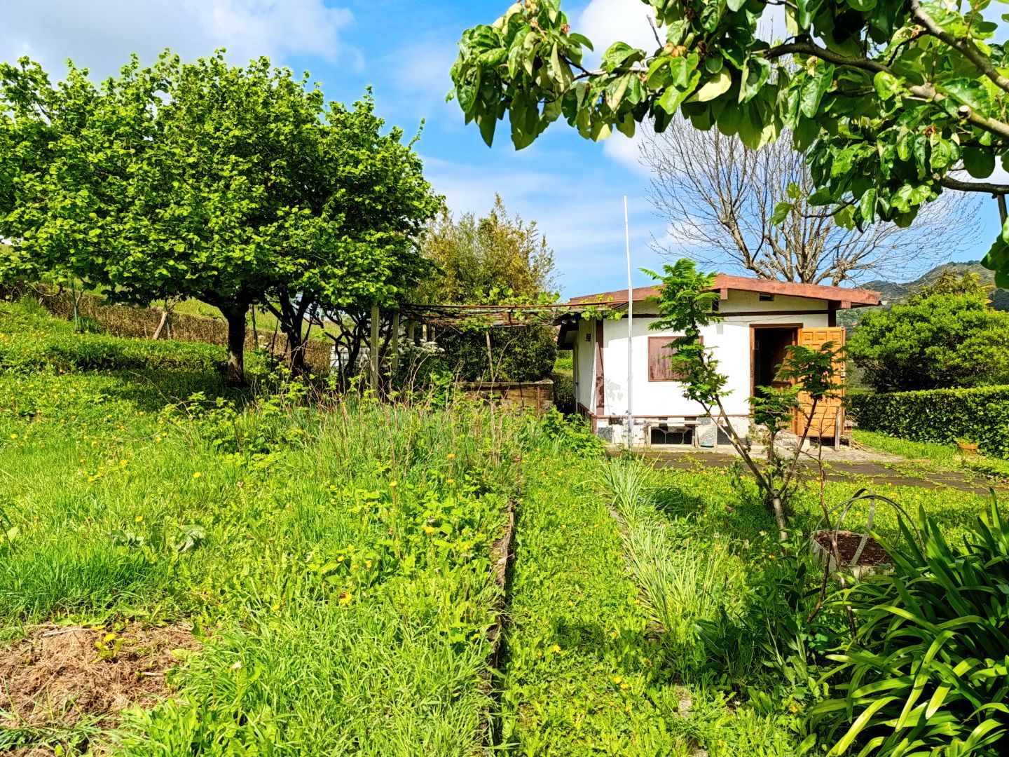 Land for sale in Ortuella