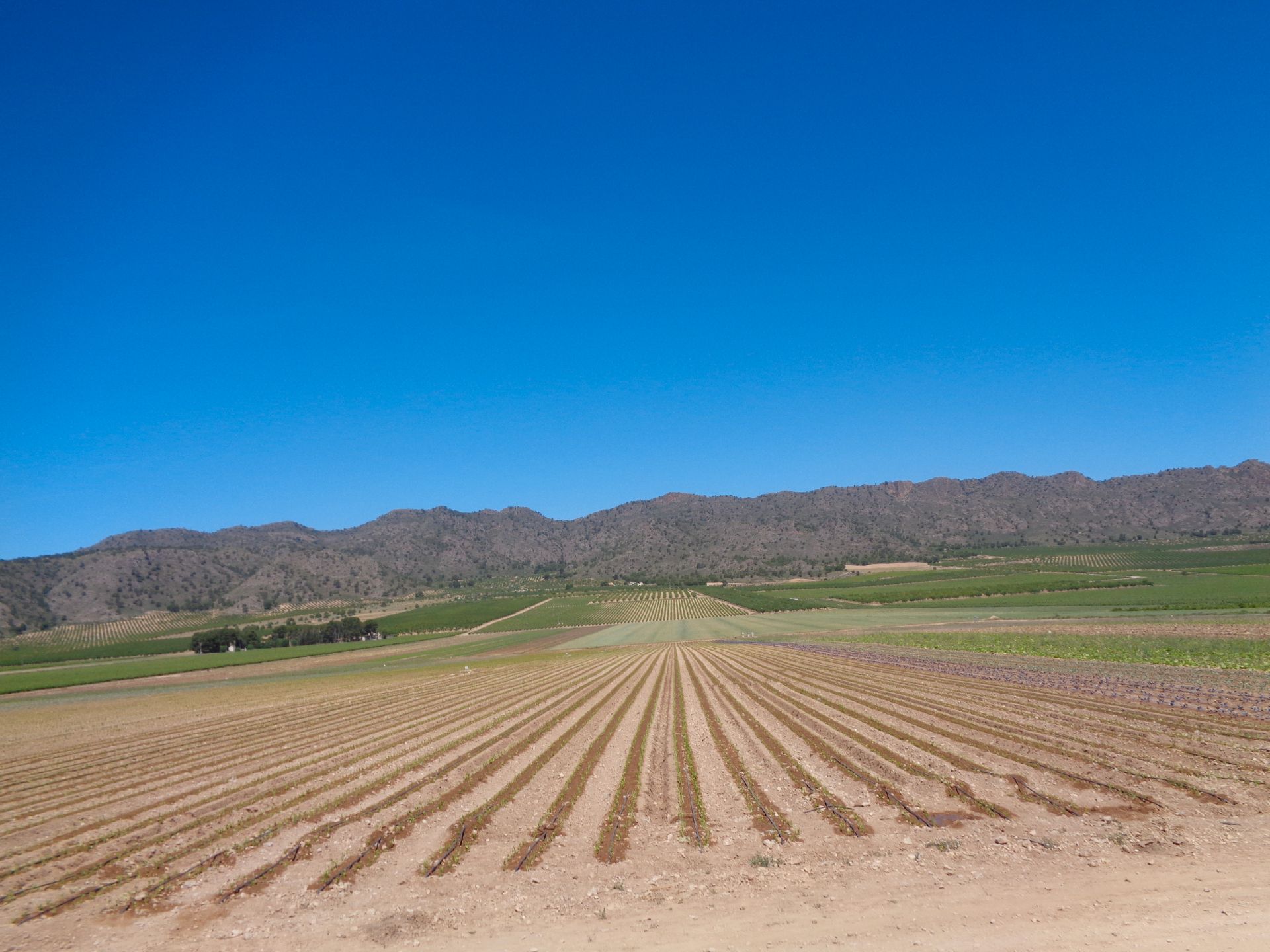 Exterior view of Land for sale in  Murcia Capital