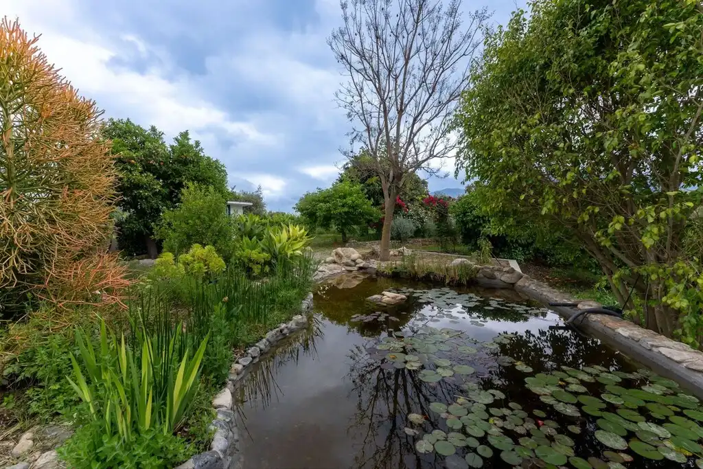 Casa rústica con jardín en venta en Centro, imagen 38