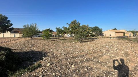 Construye Tu Sueño! Terreno Urbano en Venta en Úbeda  Pinoso, imatge 5