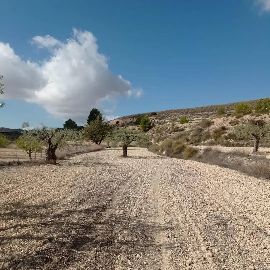 Terrain rustique à vendre à Hondón de las Nieves / El Fondó de les Neus, imagen 12
