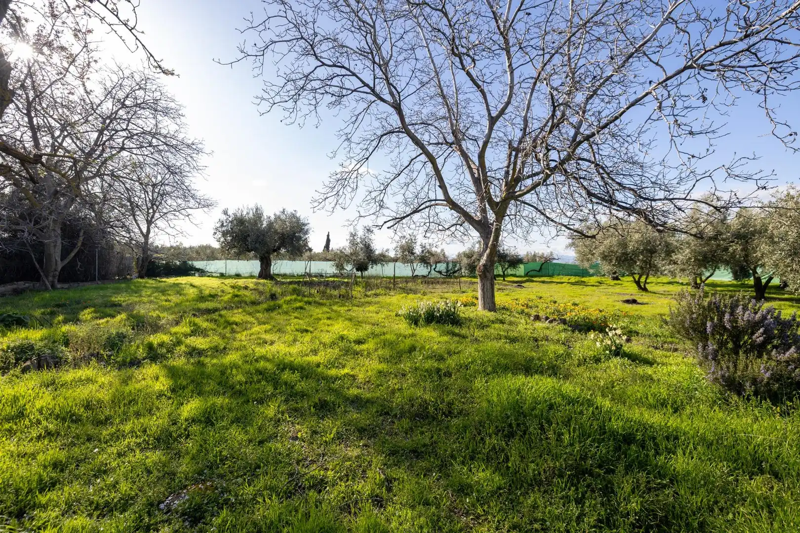 Country homes for sale in Villa de Otura  with Storage room
