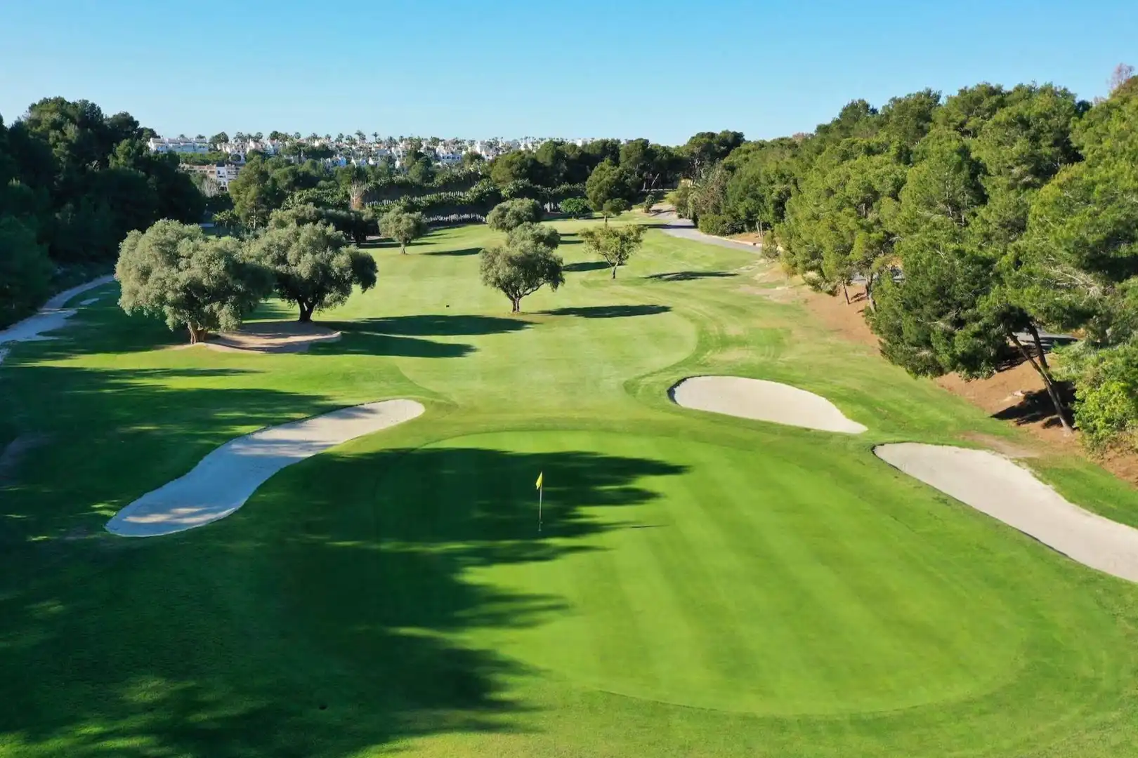 Exterior view of Detached homes for sale in Orihuela Costa