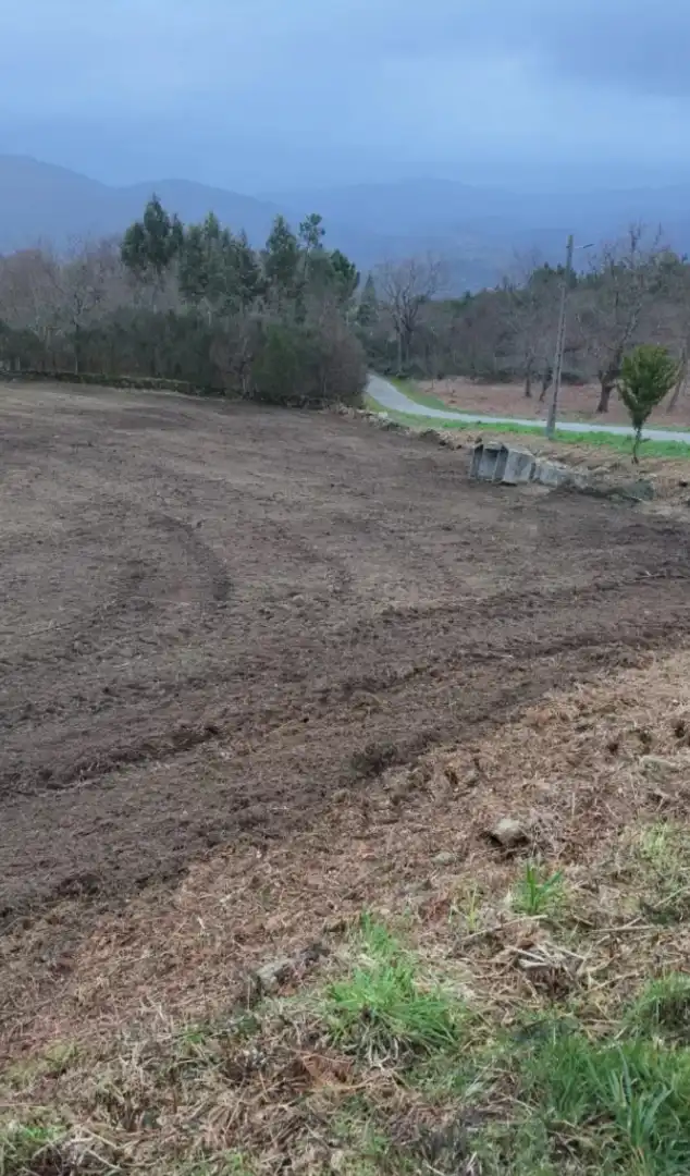 Lands and plots for sale in Poblado Moreira, imagen 2