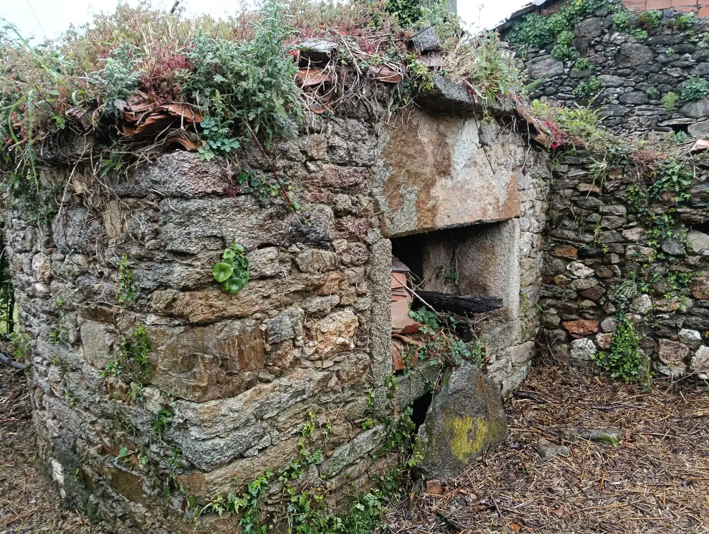 Adossat amb jardí en venda a Curtis, imagen 24