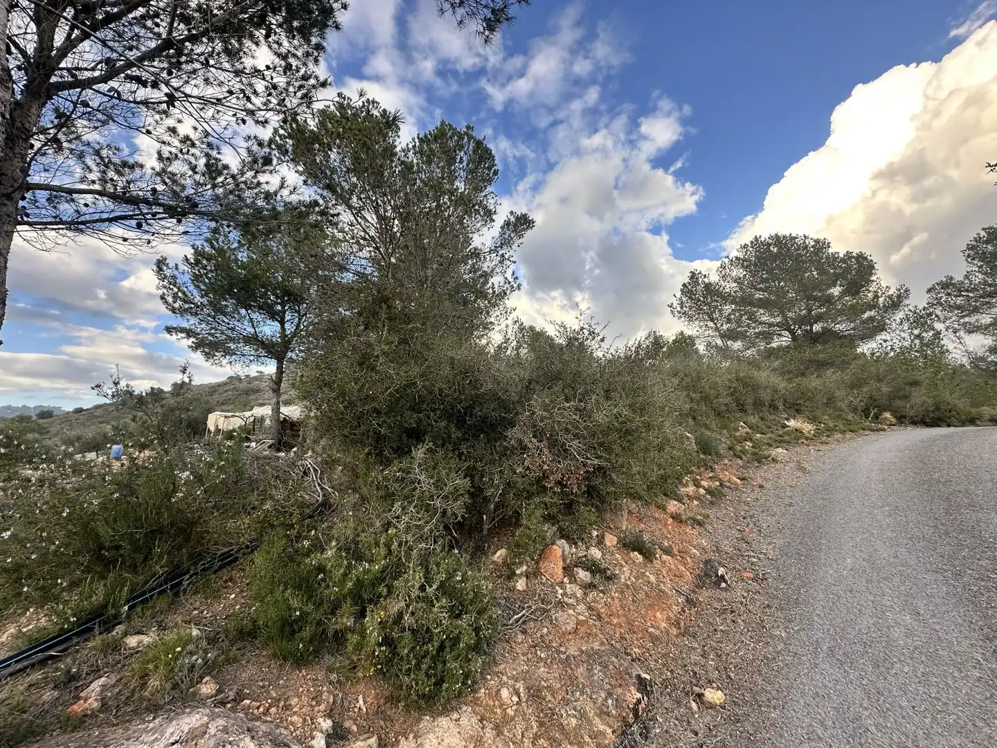 Terrenos y solares en venta en Alfara de la Baronia, imagen 2