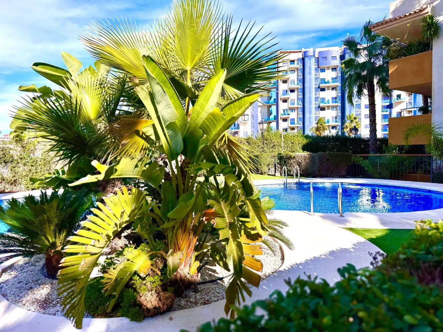 Piscina de Apartament en venda en Torrevieja amb Aire condicionat, Calefacció i Jardí privat