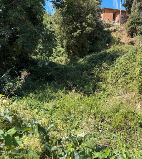 Foto 2 de Residencial en venda a Carrer Provença, Sant Josep, Barcelona