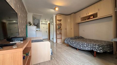 Photo 3 of Study for sale in Avenida Gamonal, Parque de la Paloma, Benalmádena