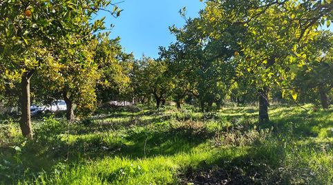 Foto 2 de Residencial en venta en Calle Rodriguez de la Borbolla , Albuñuelas, Granada