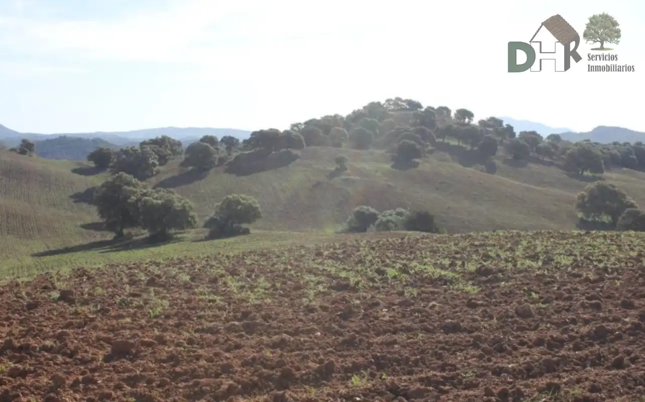 Terrenys i solars en venda a Norte