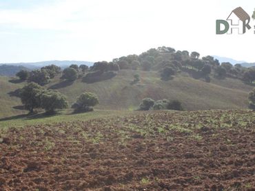 Lands and plots for sale in Norte