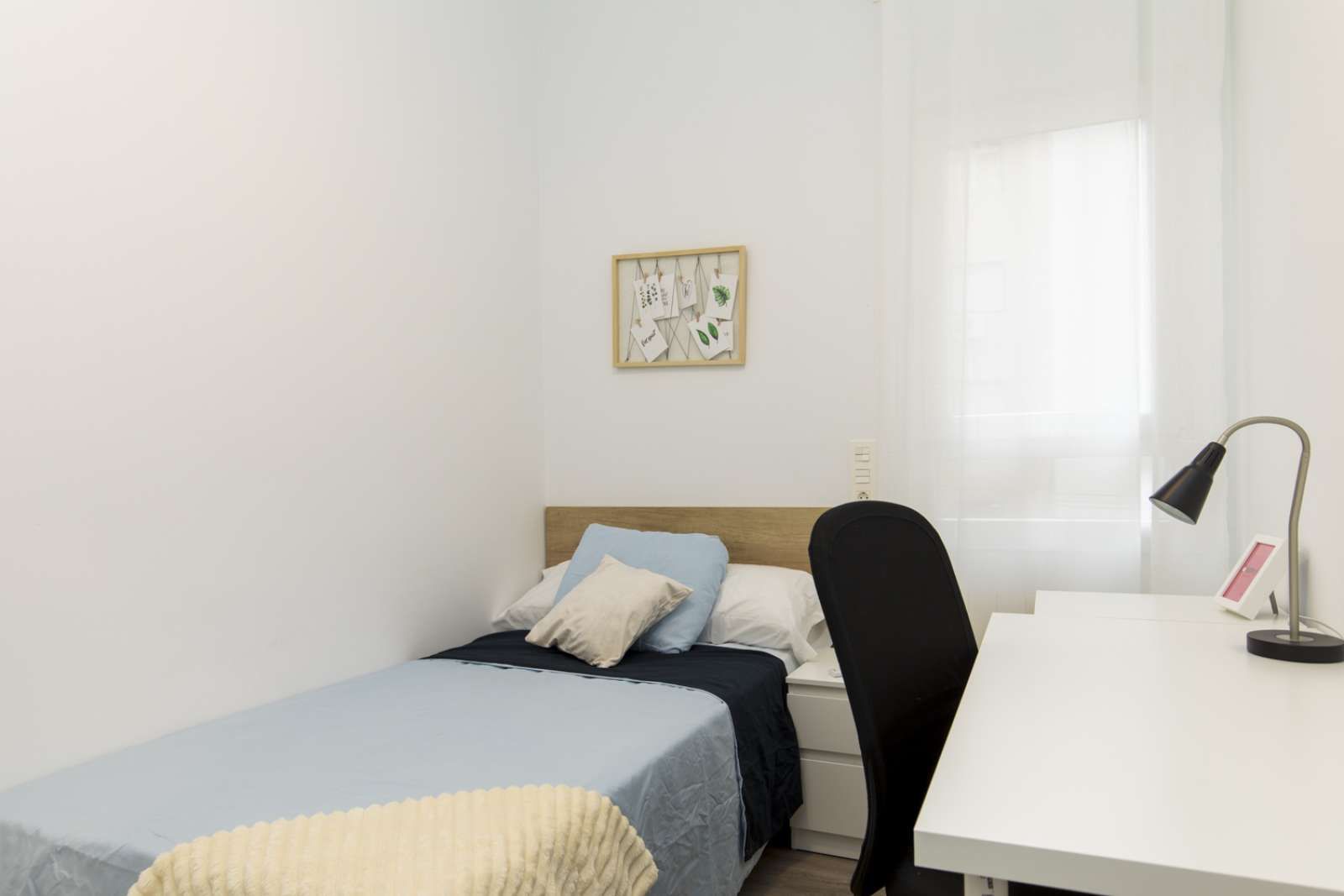 Pis per a compartir a Alfonso