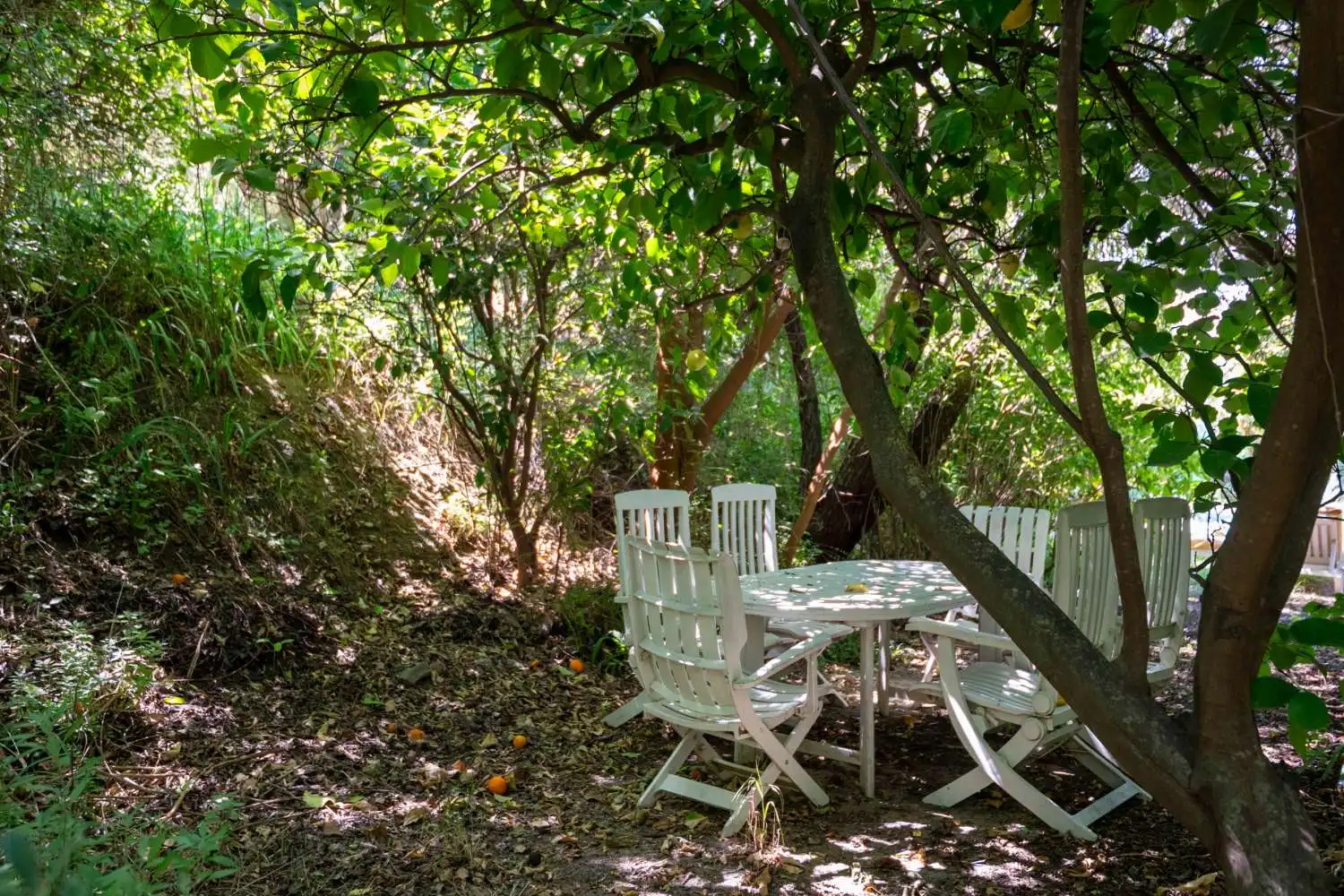 Jardí de Finca rústica en venda en Lecrín amb Piscina