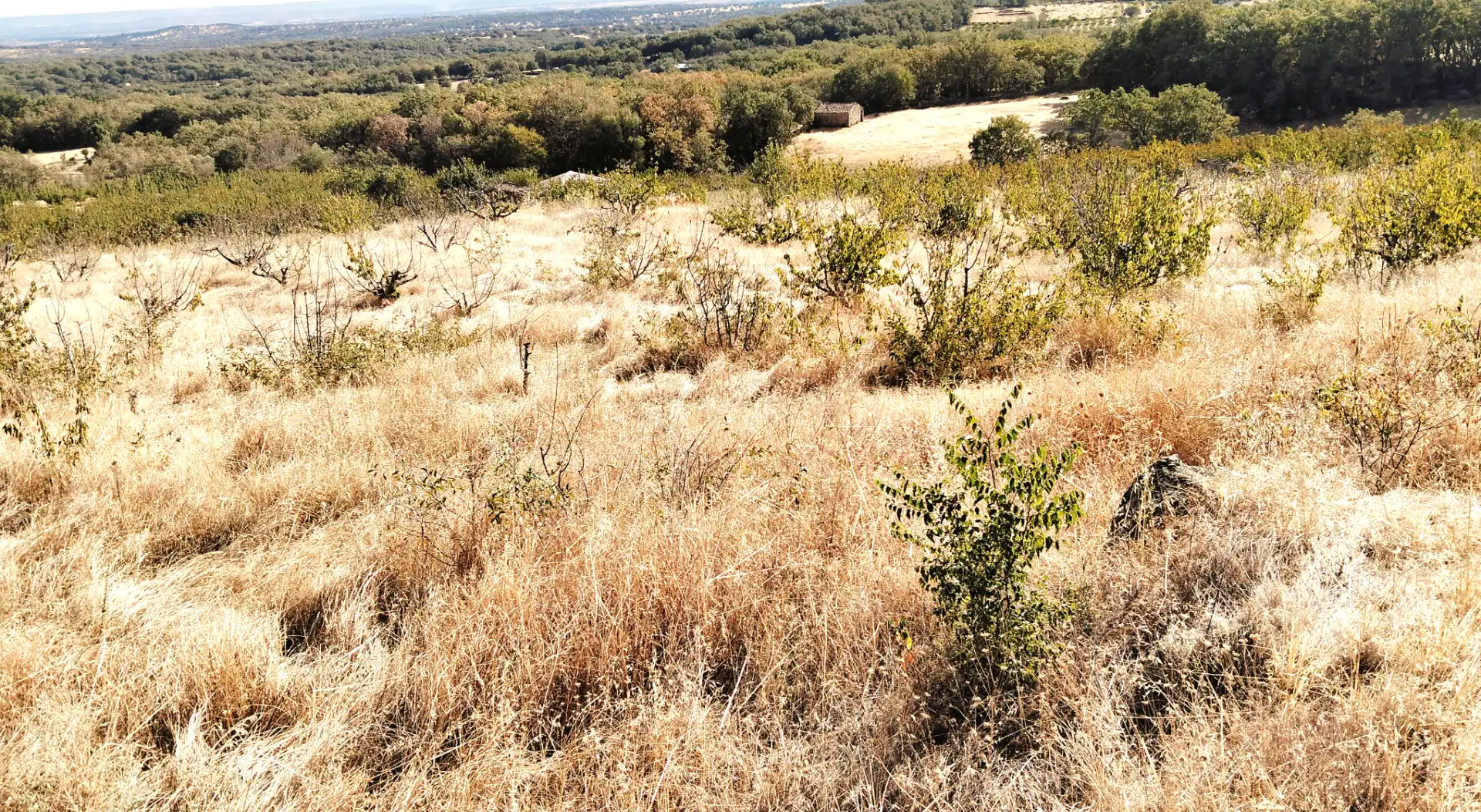 Terrain rustique à vendre à Avenida Extremadura 72