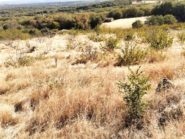 Terreno rústico en venta en Avenida Extremadura 72