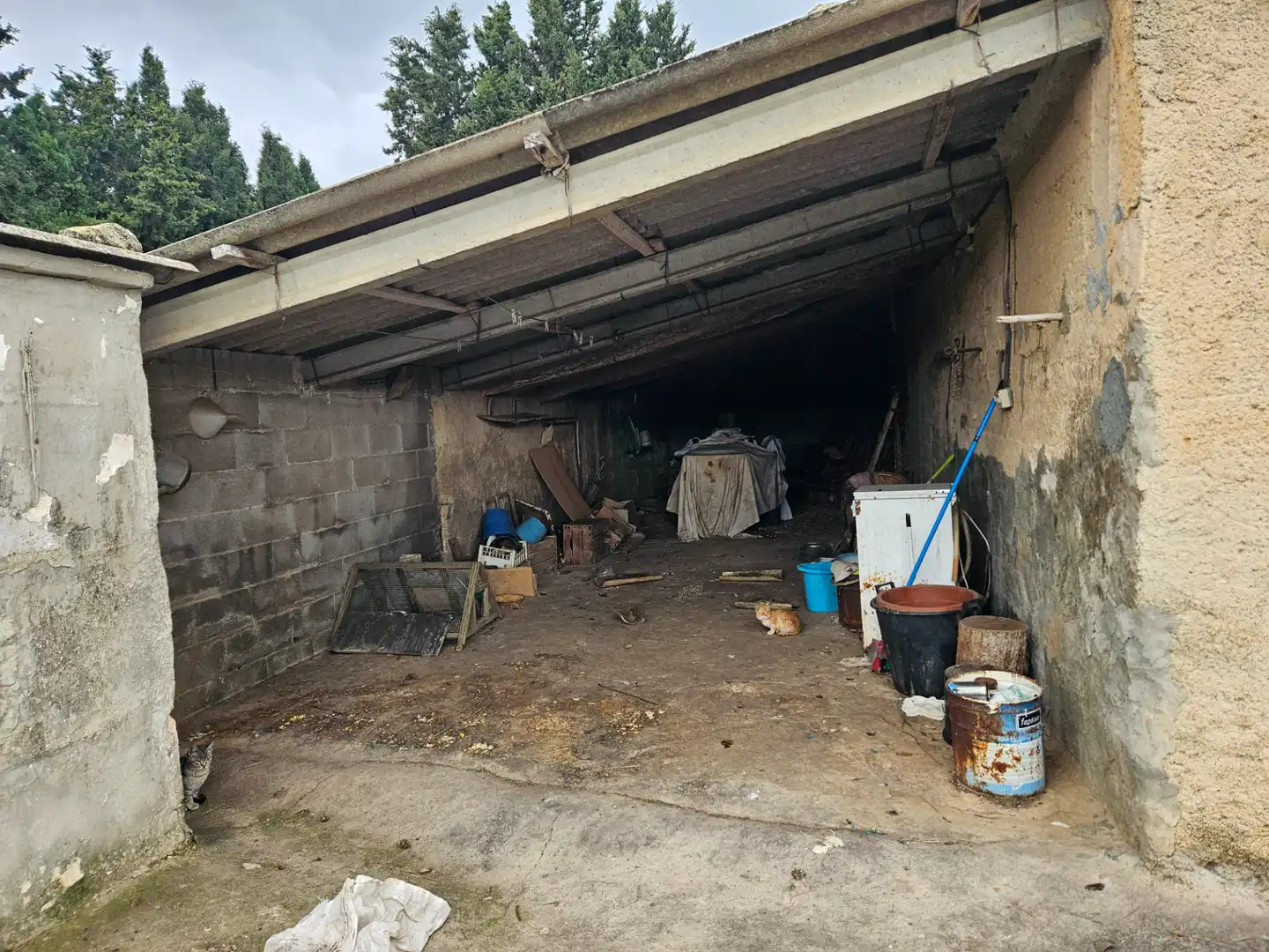 Rural land for sale in Carrer d'es Badaluc, imagen 7