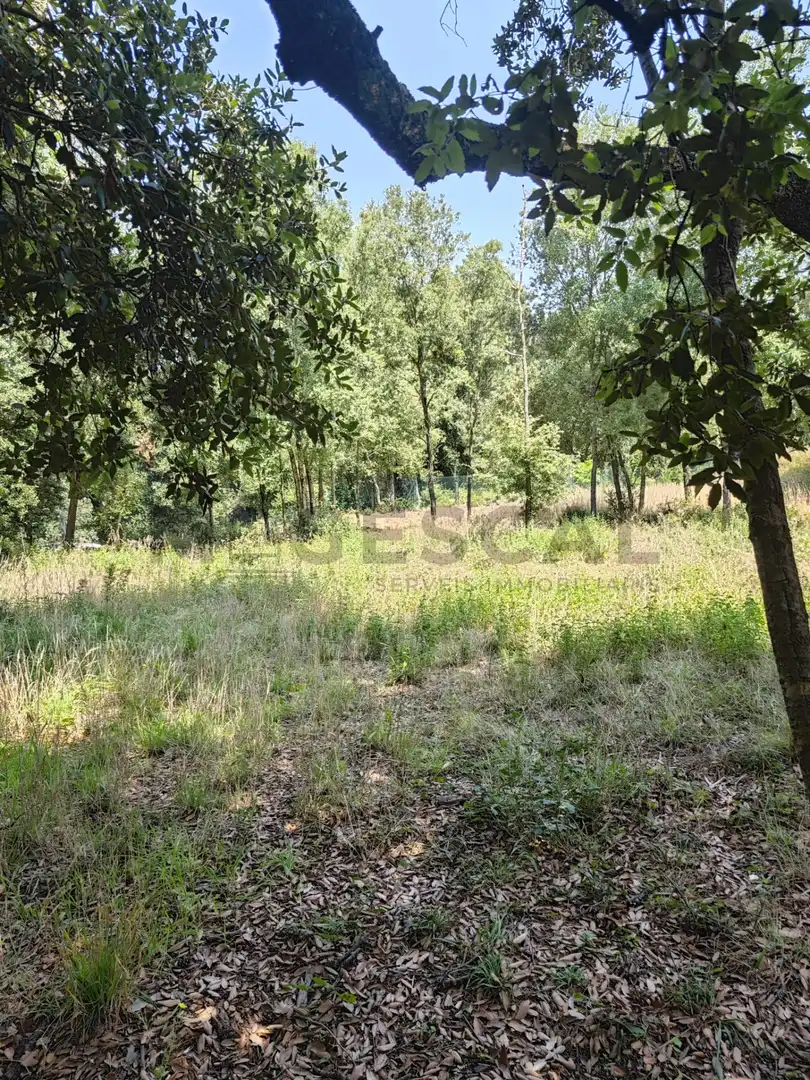 Terrenys i solars en venda a DE SALVADOR ESPRIU, imagen 21