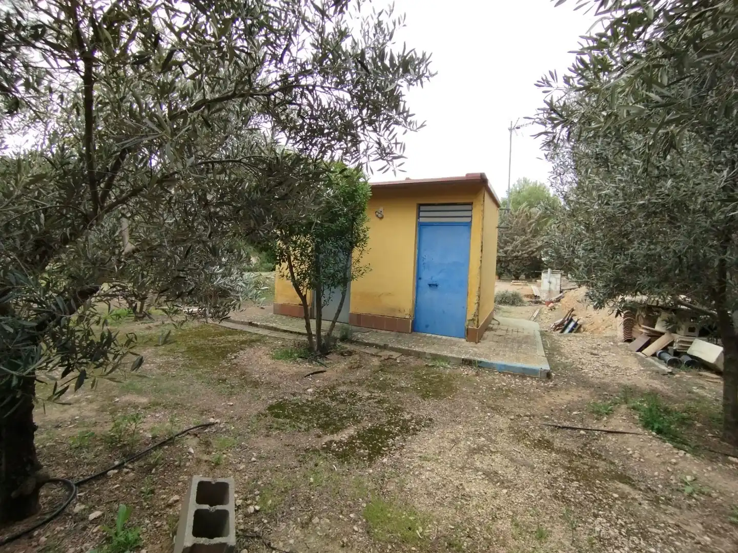 Rural land for sale in Carretera Canal, imagen 19