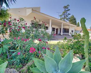 Jardí de Casa o xalet en venda en Málaga Capital amb Aire condicionat, Terrassa i Piscina