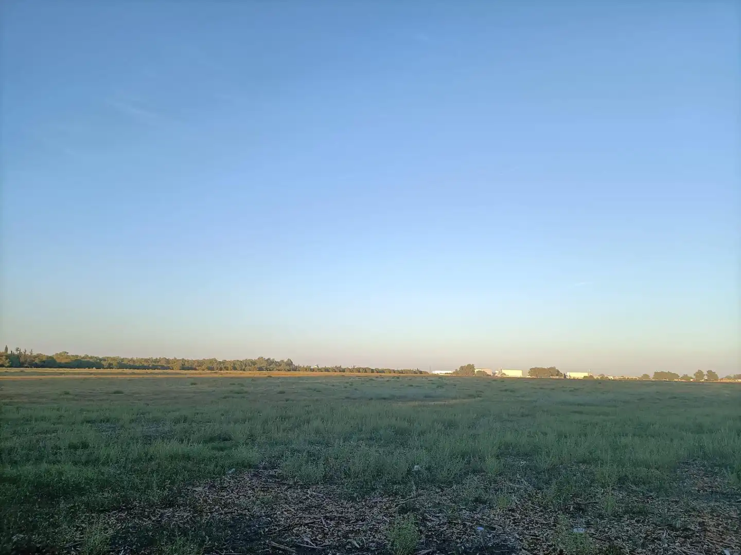 Terreno residenziale in vendita a Este - Alcosa- Torreblanca, imagen 8