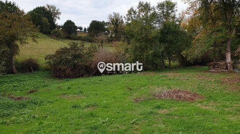 FINCA EDIFICABLE 3.049 M2 EN CASTRILLON, imatge 3