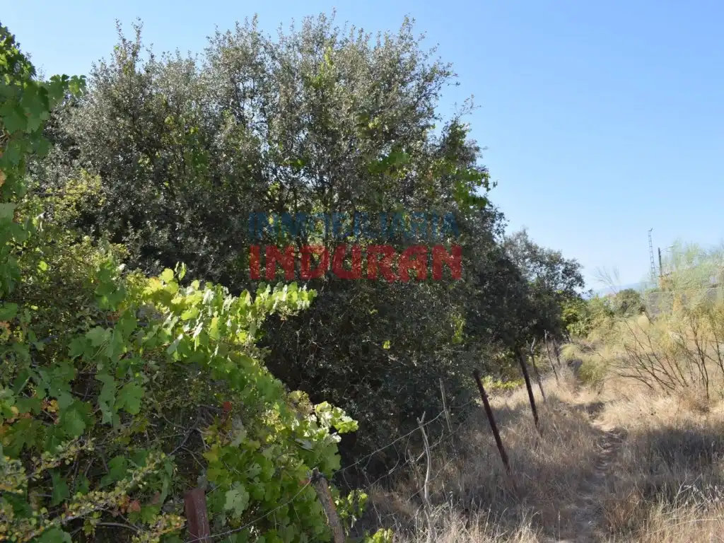 Haus zum Verkauf in Peraleda de la Mata, imagen 8