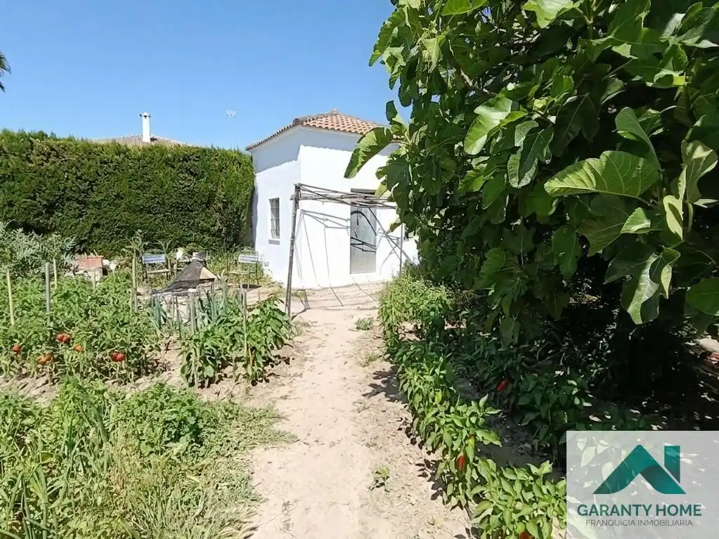 Houses for rent in Castro del Río