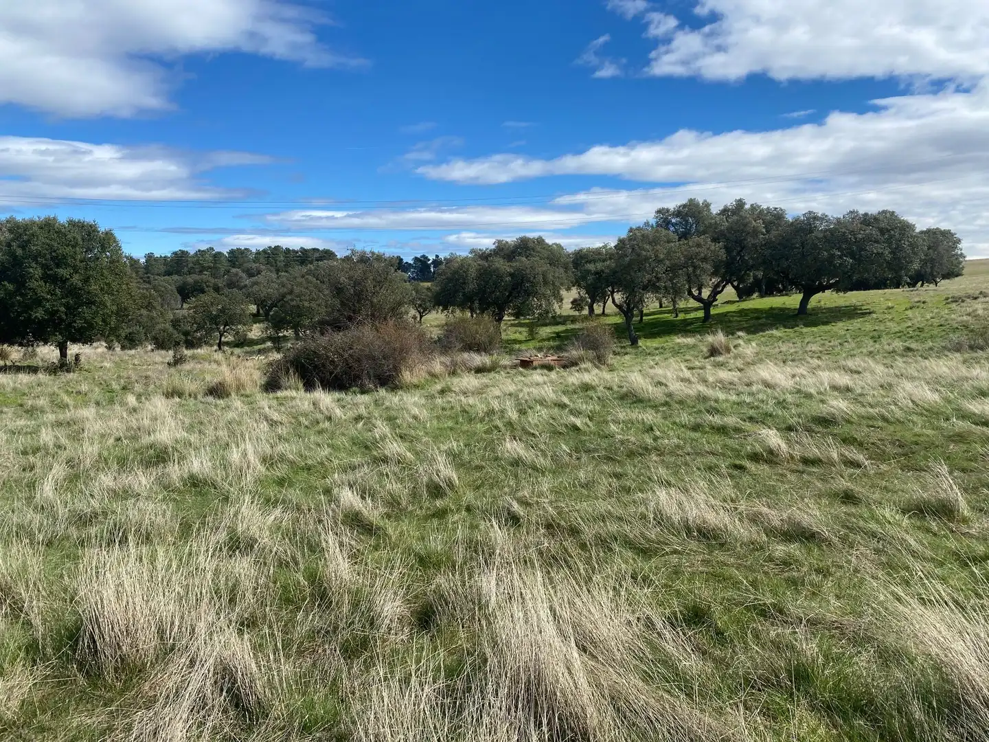 Terreny en venda en Mohedas de la Jara