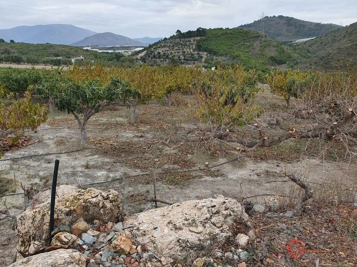 Casa rústica en venda a Molvízar, imagen 7