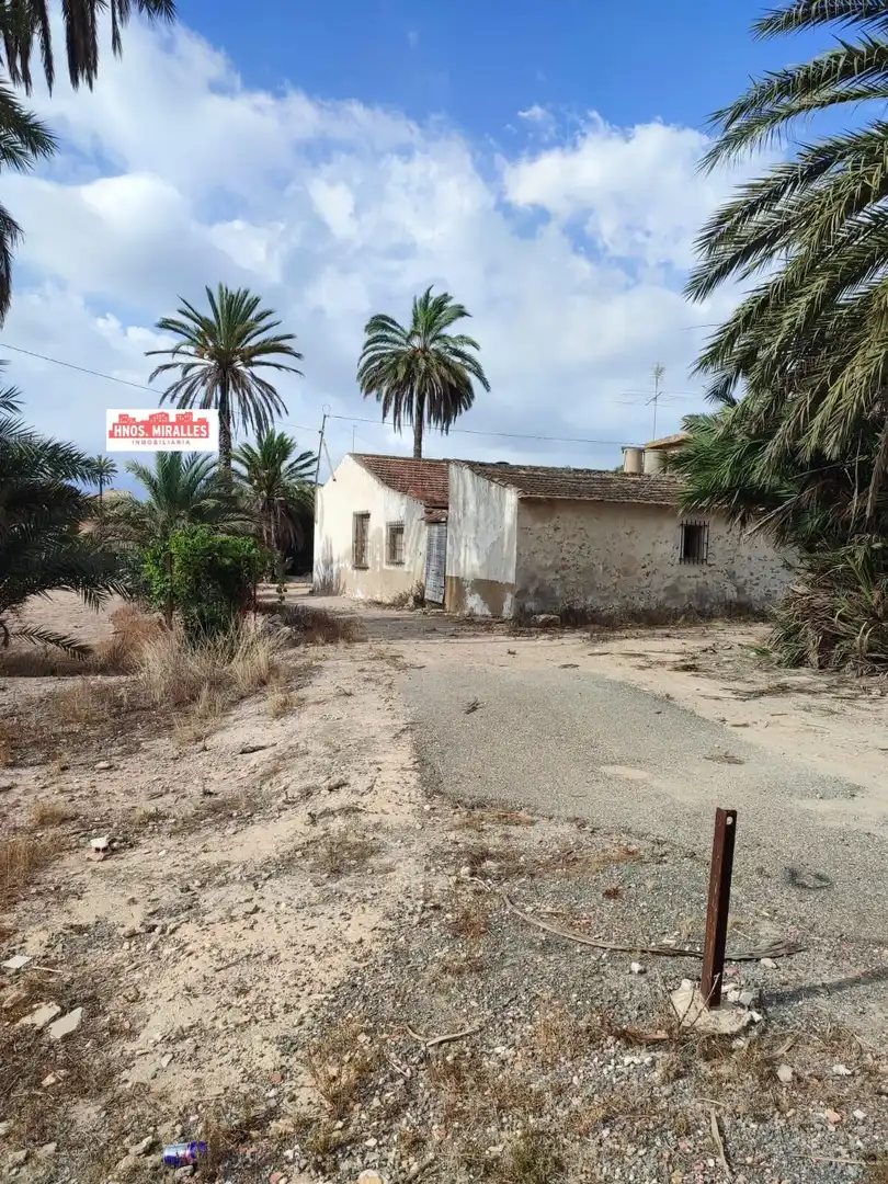 Exterior view of Country homes for sale in Elche / Elx