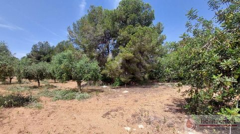 El VendrellTerreno, imagen 4