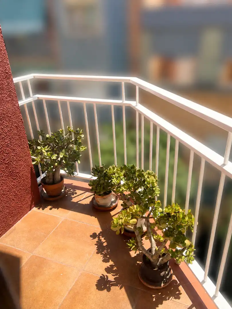 Appartamento con terrazza in vendita a Nou Barris, imagen 4