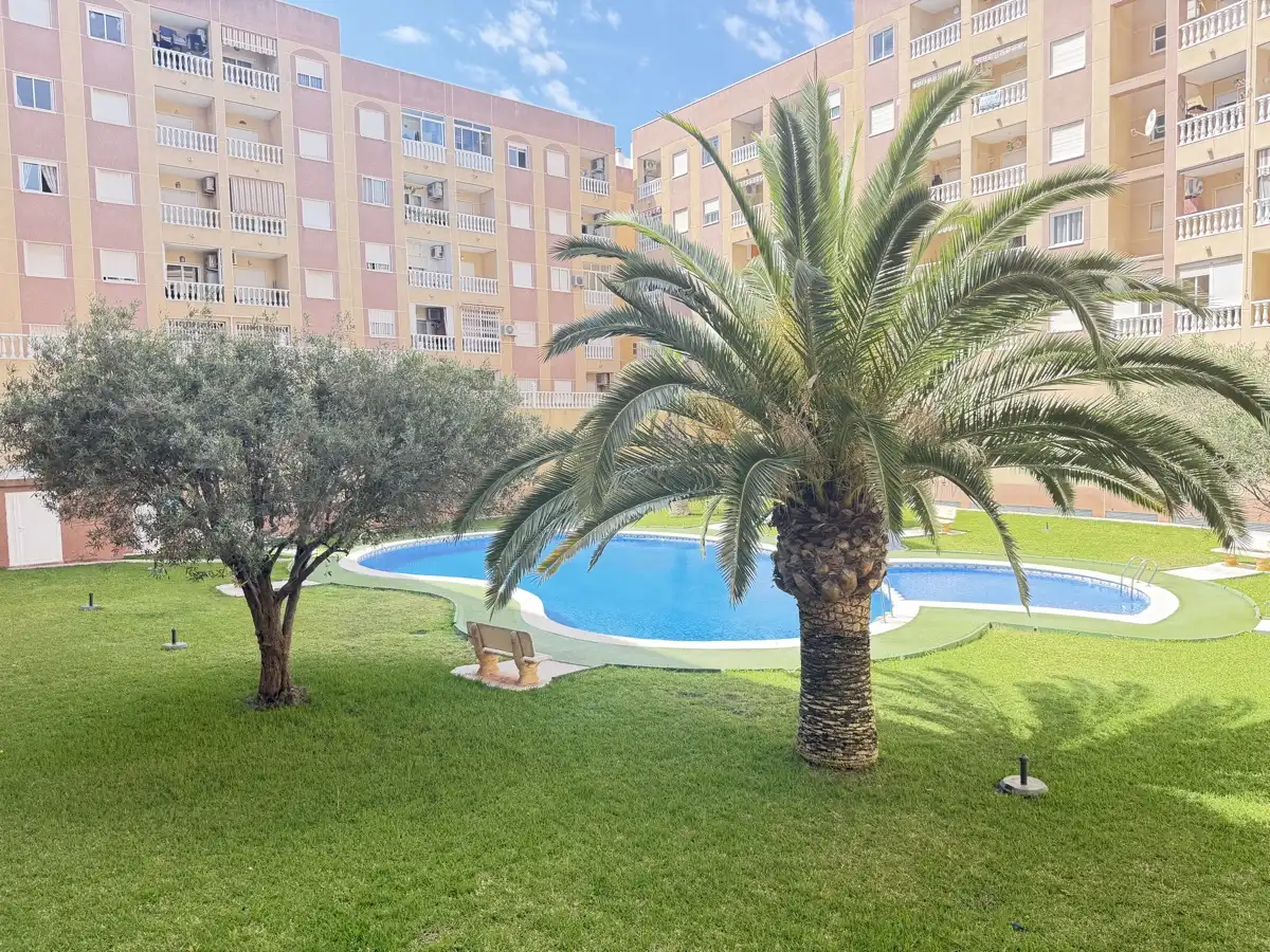 Apartamento en venta en Centro, imagen 2