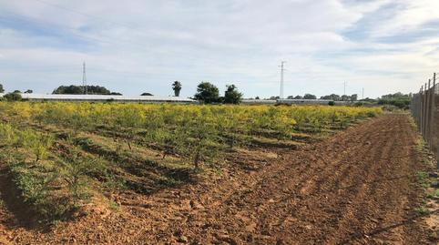 Photo 5 of Industrial buildings for sale in Jerez