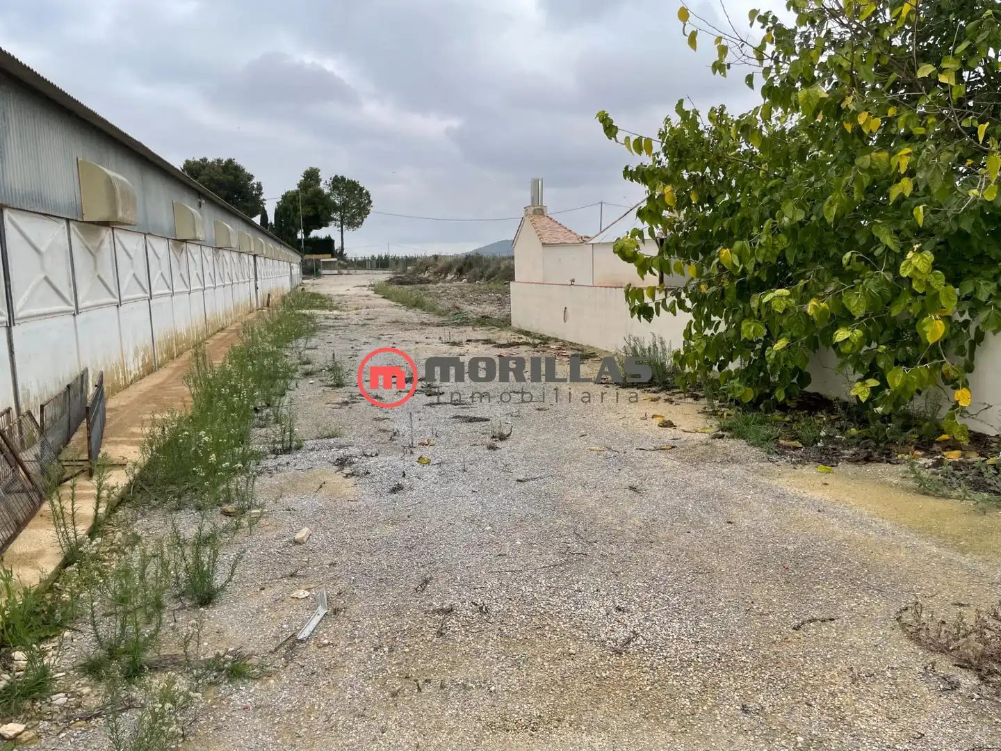 Chalet con jardín en venta en Bullas, imagen 22