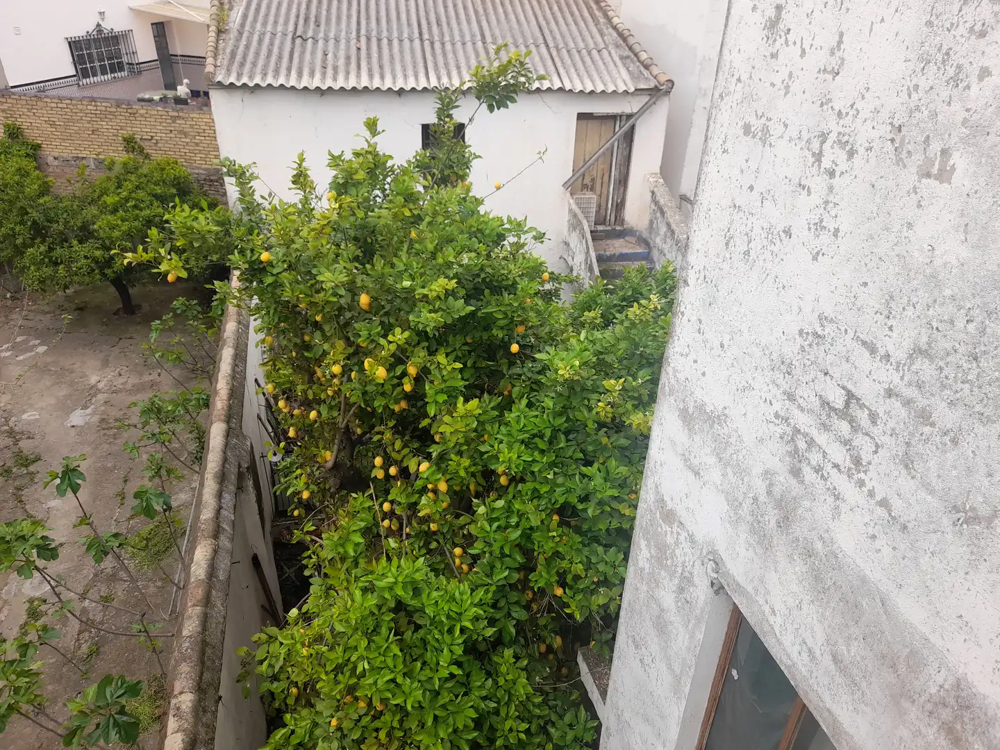 Terrassa de Casa o xalet en venda en La Algaba amb Calefacció, Moblat i Rentadora