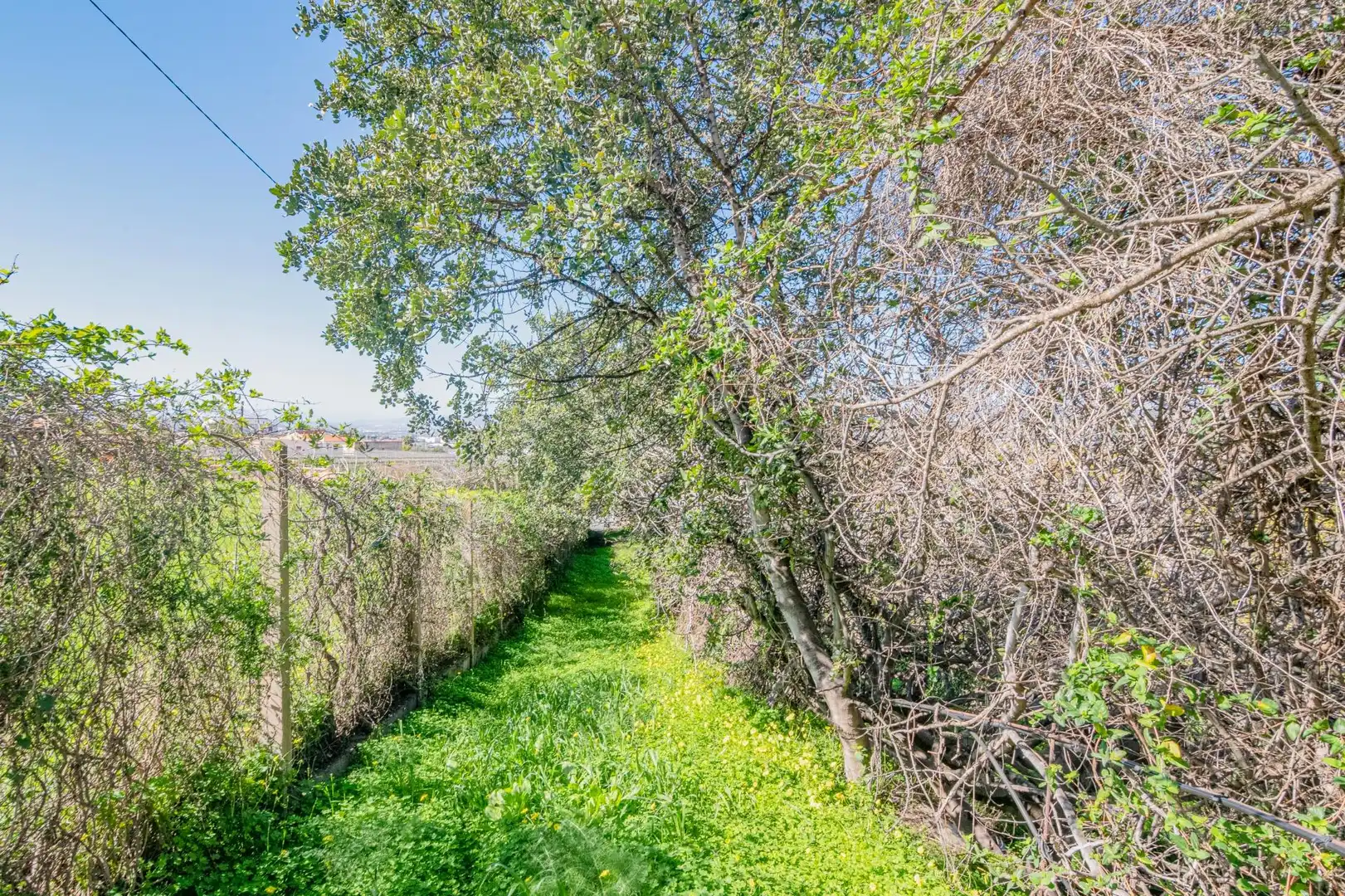 Casa o chalet en venta en Motril con Jardín privado, Terraza y Piscina