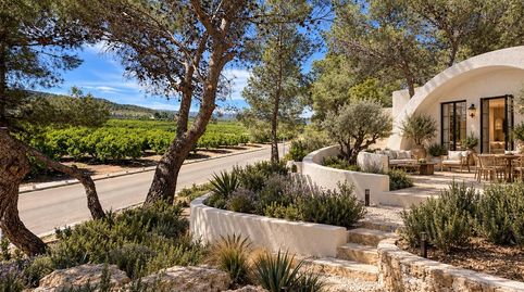 Parcela con vistas panorámicas a los campos de naranjos y a las montañas y grandes pinos adultos  El Pinar