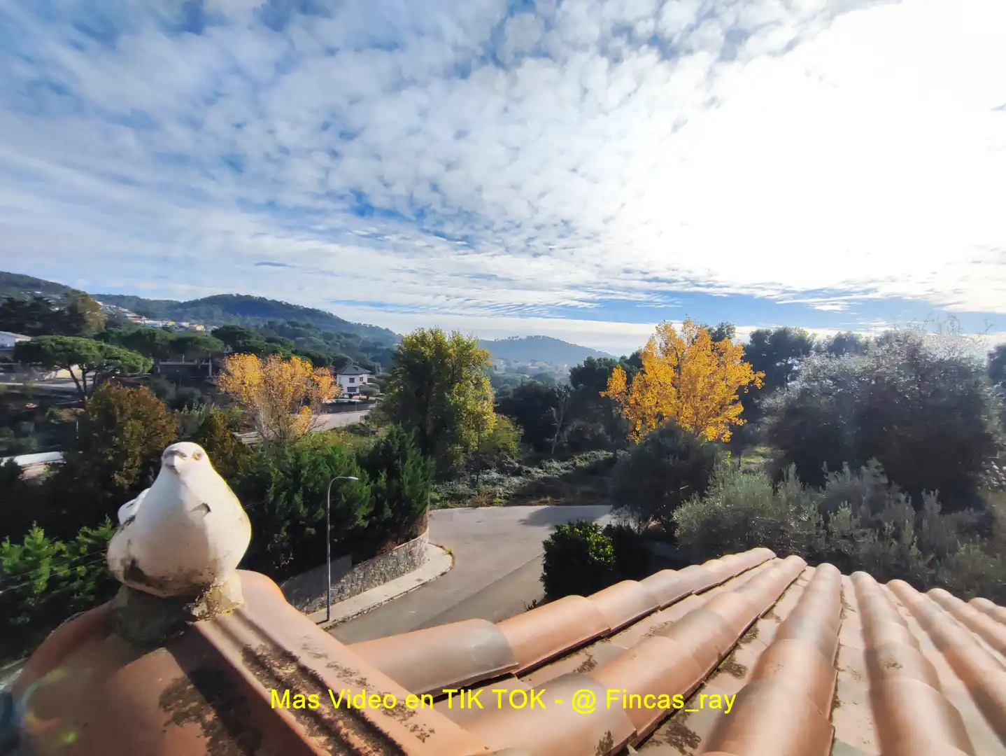 Vista exterior de Casa o chalet en venta en Bigues i Riells del Fai con Calefacción, Jardín privado y Terraza