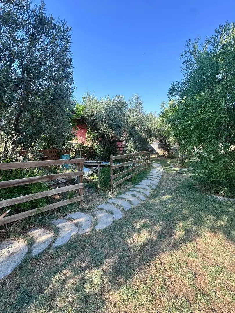 Jardí de Finca rústica en venda en Utrera