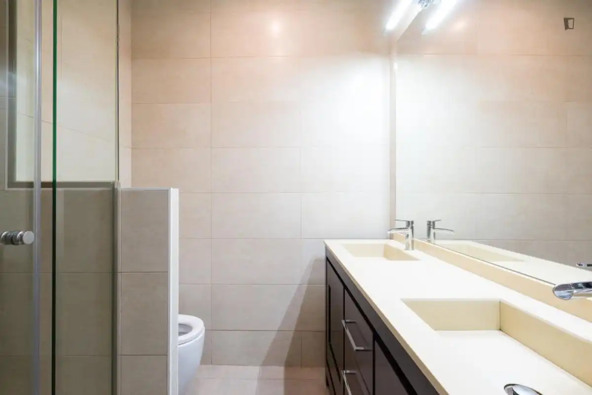 Baño de Apartamento para compartir en Madrid con Amueblado, Horno y Lavadora