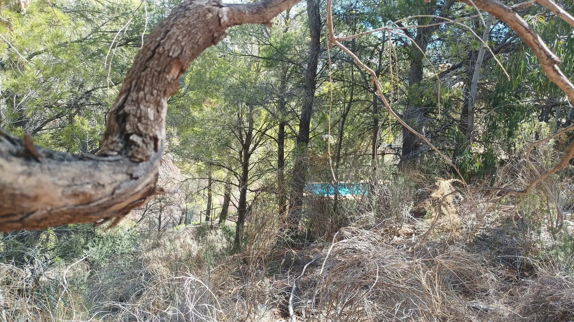 Terrenys i solars en venda a Altea la Vella, imagen 8