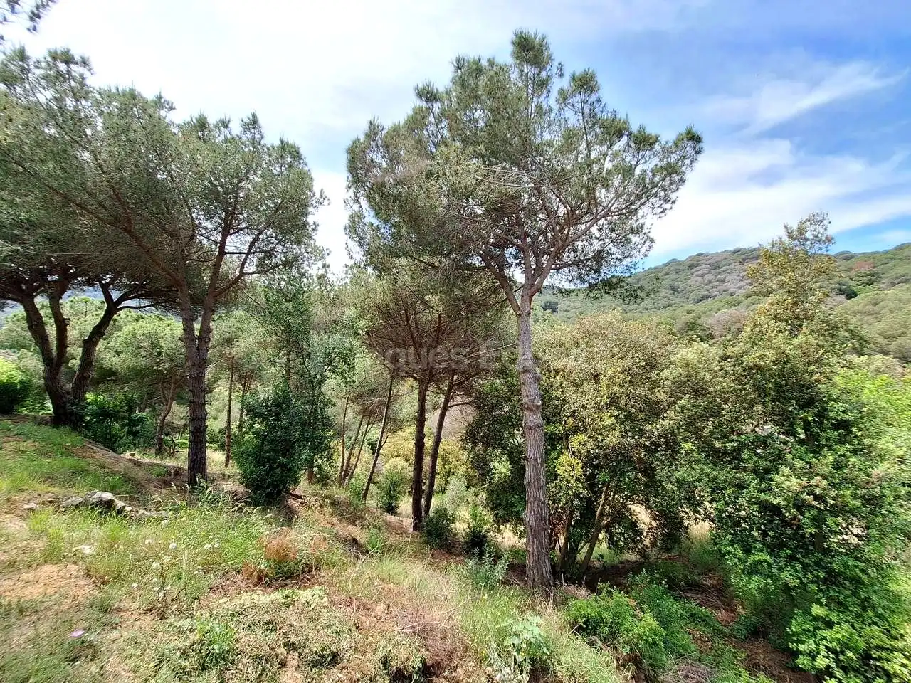 Lands and plots for sale in Nucli Urbà, imagen 10