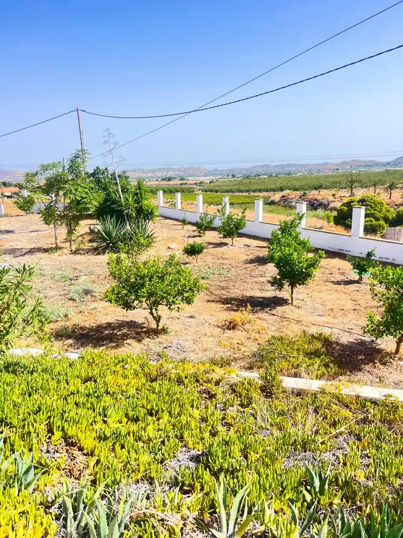 Finca rústica en venta en Novelda con Aire acondicionado, Calefacción y Jardín privado