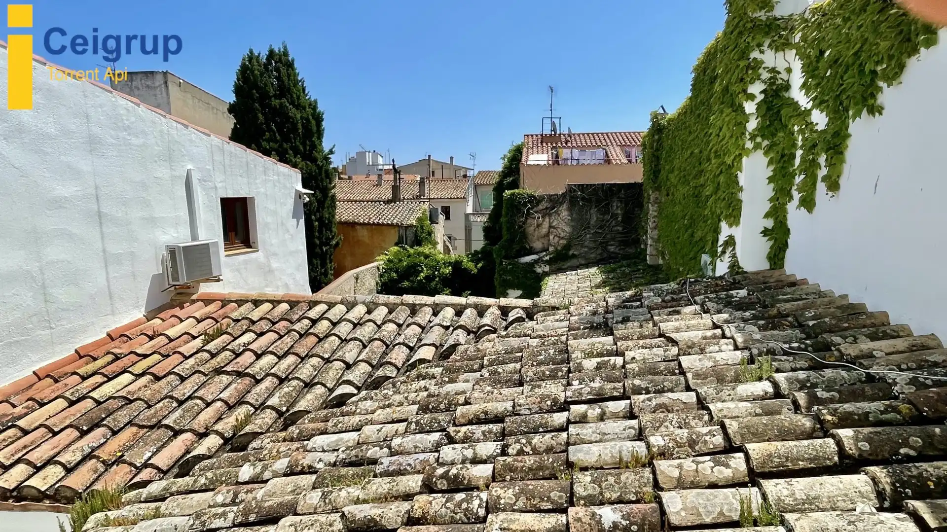 Vista exterior de Finca rústica en venda en Torroella de Montgrí amb Aire condicionat, Terrassa i Traster