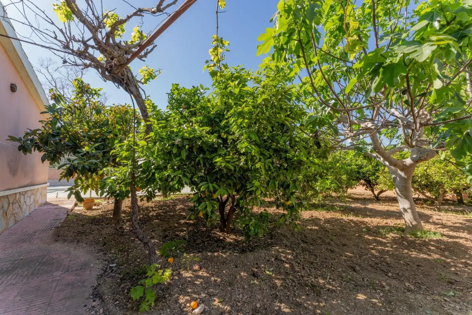 Casa o chalet en venta en Elche / Elx con Jardín privado, Terraza y Piscina