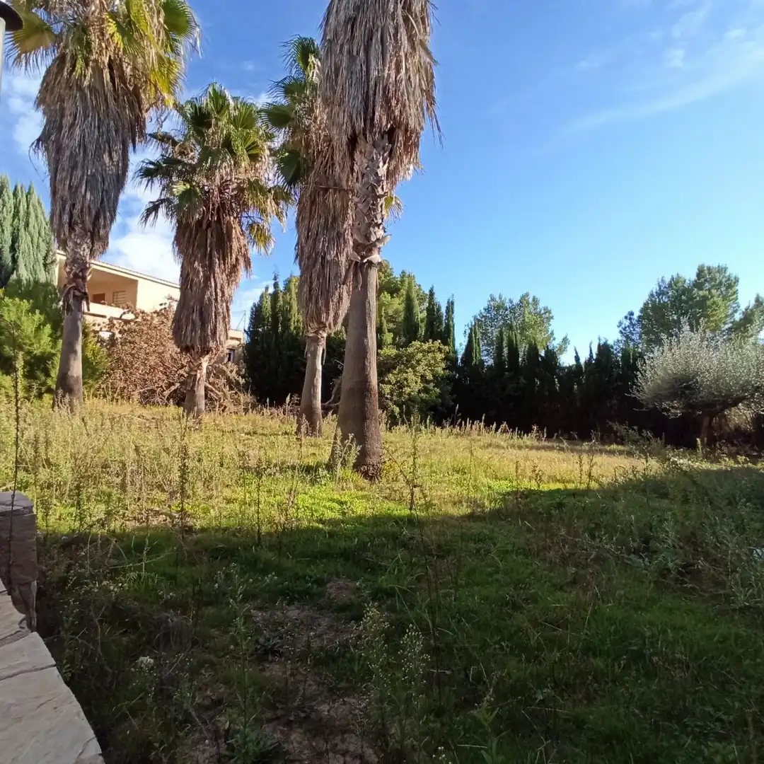 Villa à vendre à Los Olivos, imagen 37